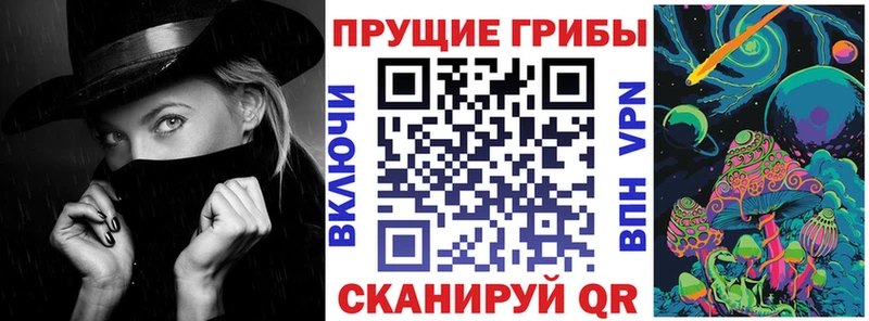 Псилоцибиновые грибы Psilocybine cubensis  Новотроицк 