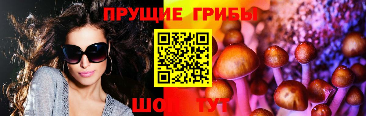 Новотроицк  Галлюциногенные грибы мухоморы  Псилоцибиновые грибы Cubensis  Вход с VPN 